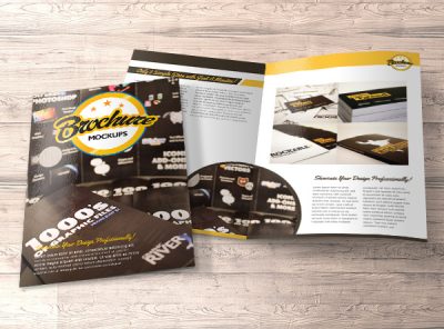 Brochures and Flyers