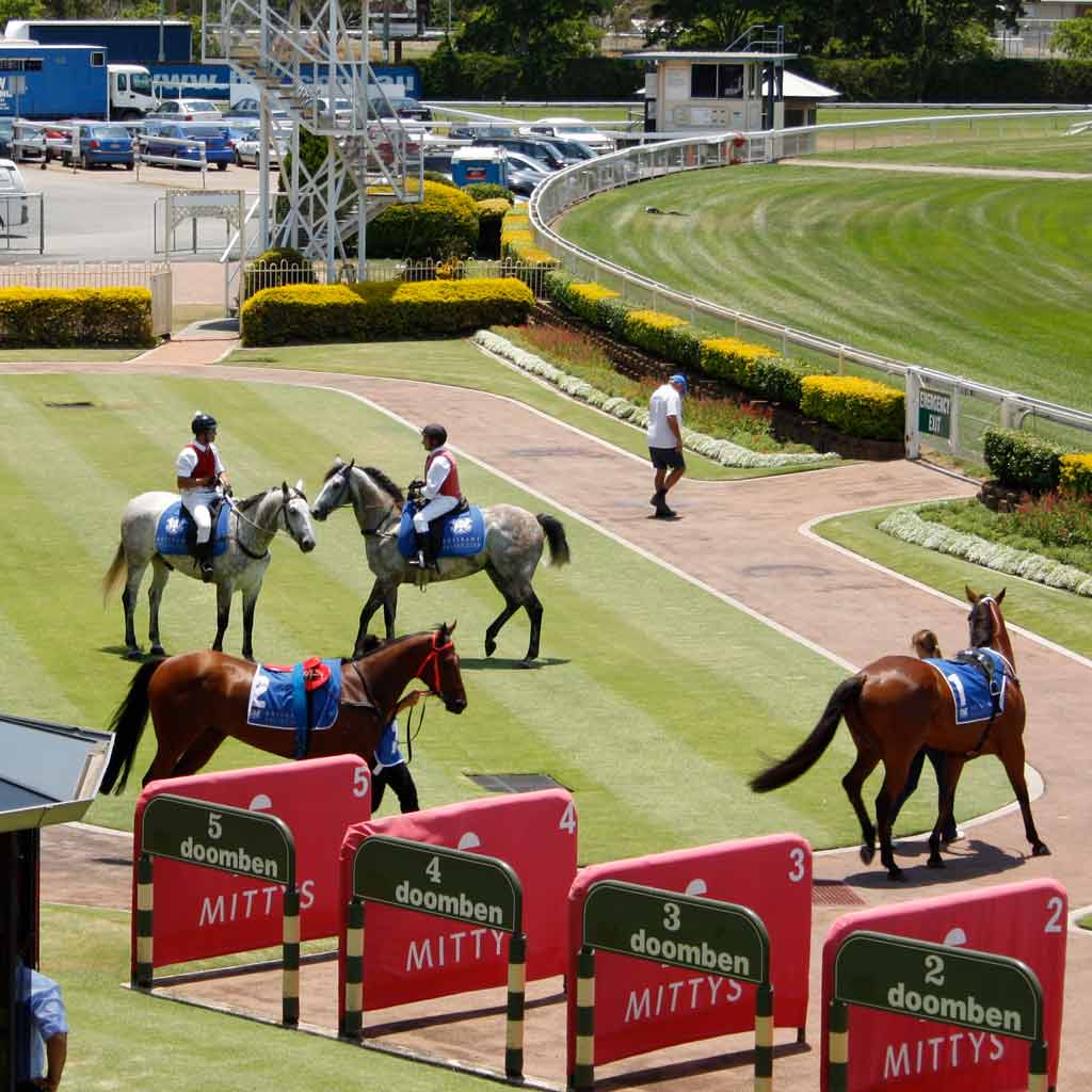 Doomben Printer