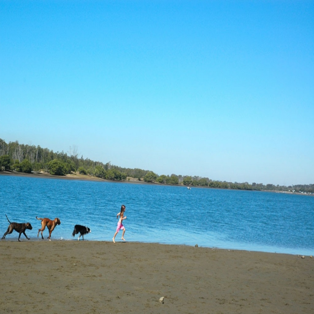 Nudgee Beach Printer